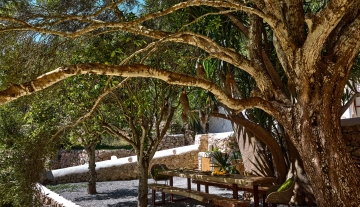 Resa Esatates for sale finca st rafael Ibiza modern 1 campo 6.jpg